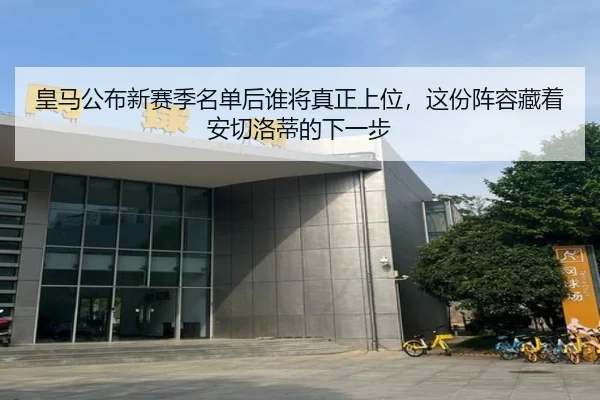 皇马公布新赛季名单后谁将真正上位，这份阵容藏着安切洛蒂的下一步 | dongqiudi